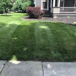 Office Lawn