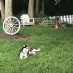 Relaxation