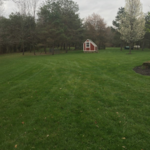 Lawn Care