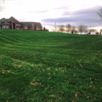 Lawn Care