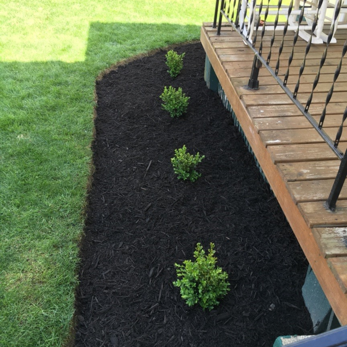 Landscaping
