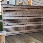 Before Staining