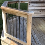 Before Staining