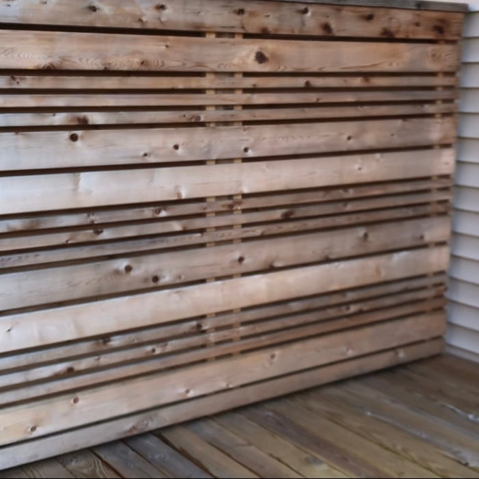 Before Staining