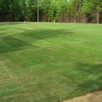 Installed Grass Sod