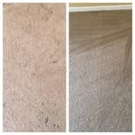 before and after carpet