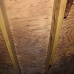 Attic Mold