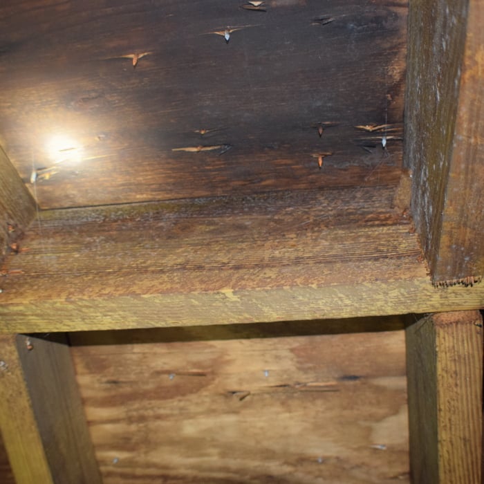 Attic Mold