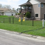 4' Black Chain Link