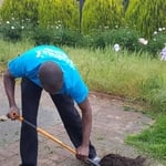 Yard Work