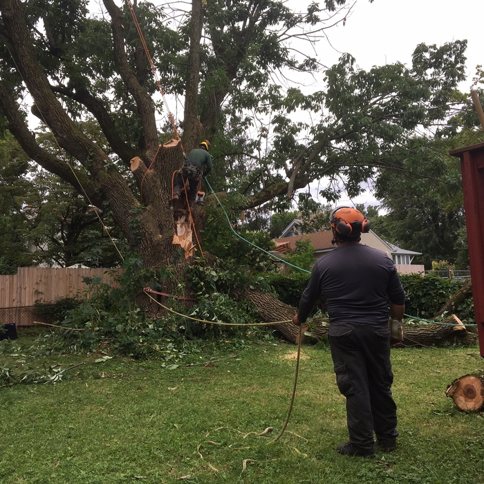 Storm Work