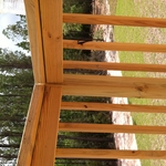 Deck Rail