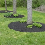 Prepped, Edged, and mulched