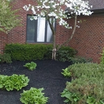 Front Exterior Of Home