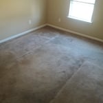 Basic Carpet Cleaning