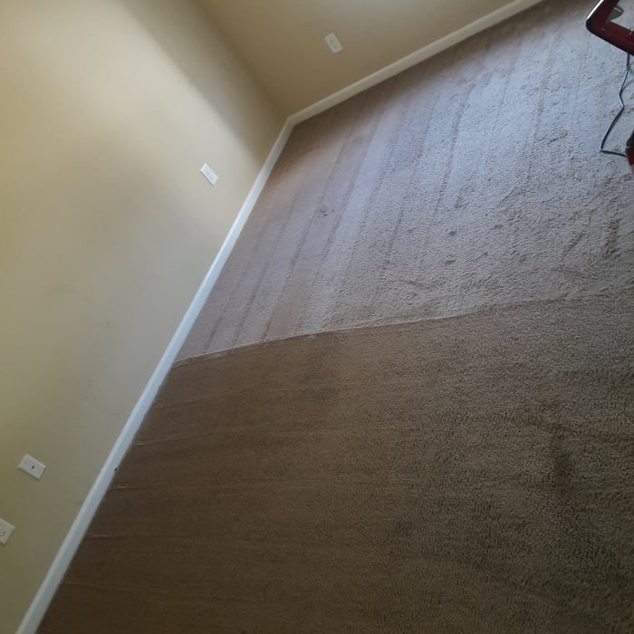 Basic Carpet Cleaning