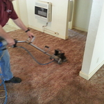 The before