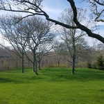 Lawn