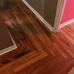Brazilian Koa