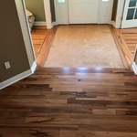 Brazilian Koa