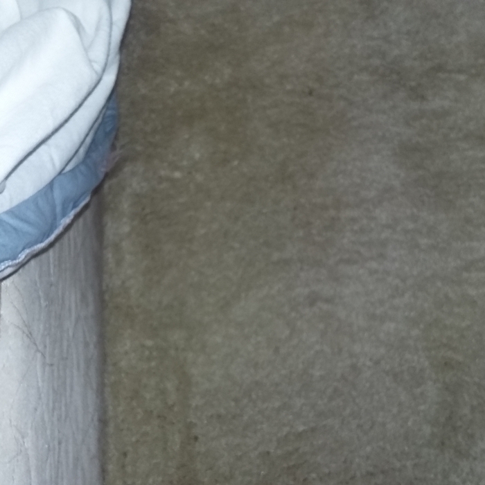 Carpet Cleaning