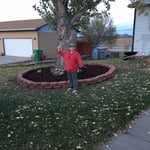 Circular ring A round tree