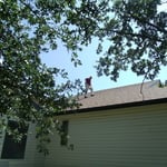 Will Home Inspector