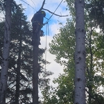 Experienced climbers
