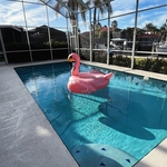 Clean Pools