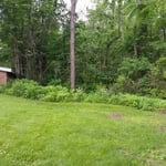 lawn and wooded area