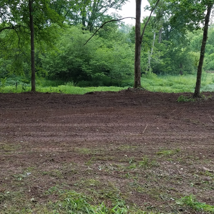 Brush Removed