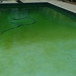green pool