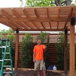 cedar pergola