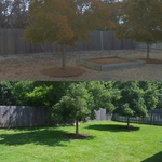 From rock to grass in two weeks!