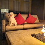 Fire Pit and Patio