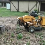 Easy stump!