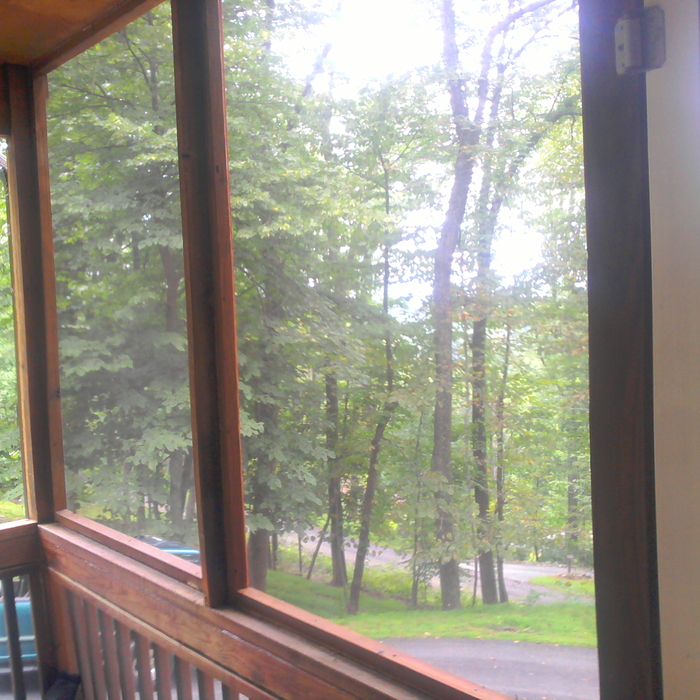 New screened windows in place