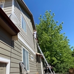 Our work