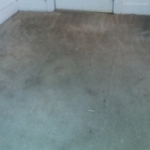 Cleaning carpet