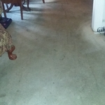 Cleaning carpet