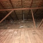 Insulation Removal