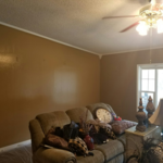 Interior Painting