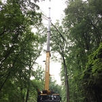 Crane Removal