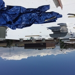 greeley flat roof (TPO)