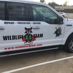Wildlife X Team