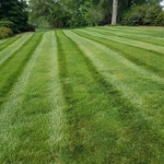 Mowing and Treated Lawn