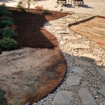 Landscaping around New Pool