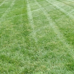 Mowing