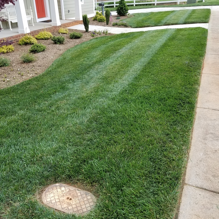 Lawn Maintenance