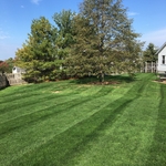 Lawn services